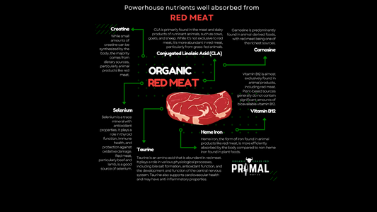 Absorption is Key: Why Organic Red Meat is the Perfect Choose for Essential Nutrients