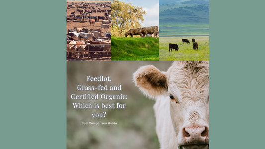 Navigating the Beef Landscape: Understanding Feedlot, Grass-Fed, and Certified Organic Beef