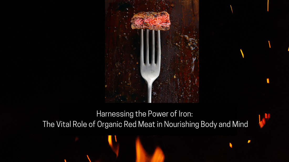 Harnessing the Power of Iron: The Vital Role of Organic Red Meat in Nourishing Body and Mind