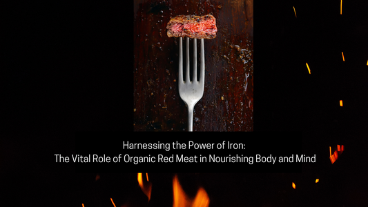 Harnessing the Power of Iron: The Vital Role of Organic Red Meat in Nourishing Body and Mind
