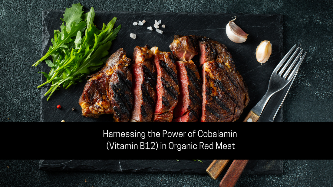 Harnessing the Power of Cobalamin (Vitamin B12) in Organic Red Meat