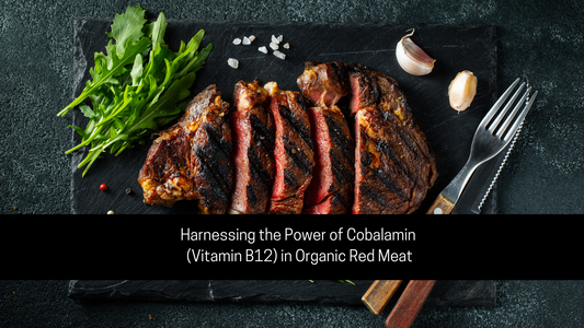 Fumaric Acid Unveiled: A Hidden Gem in Organic Red Meat: