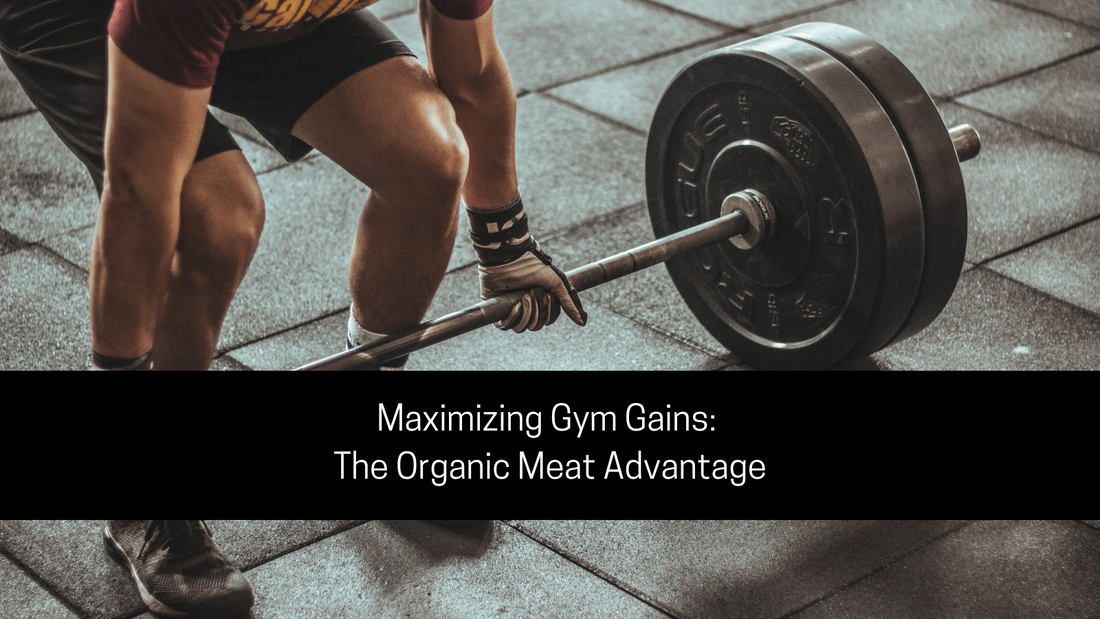 Maximizing Gym Gains: The Organic Meat Advantage