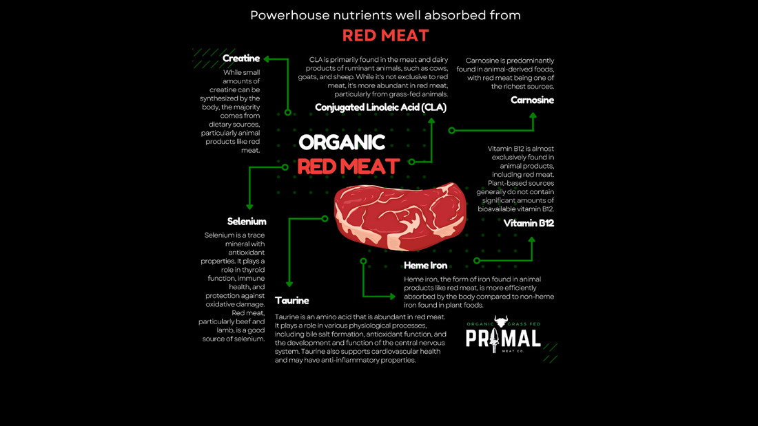 Absorption is Key: Why Organic Red Meat is the Perfect Choose for Essential Nutrients